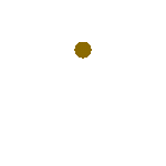 video_loader